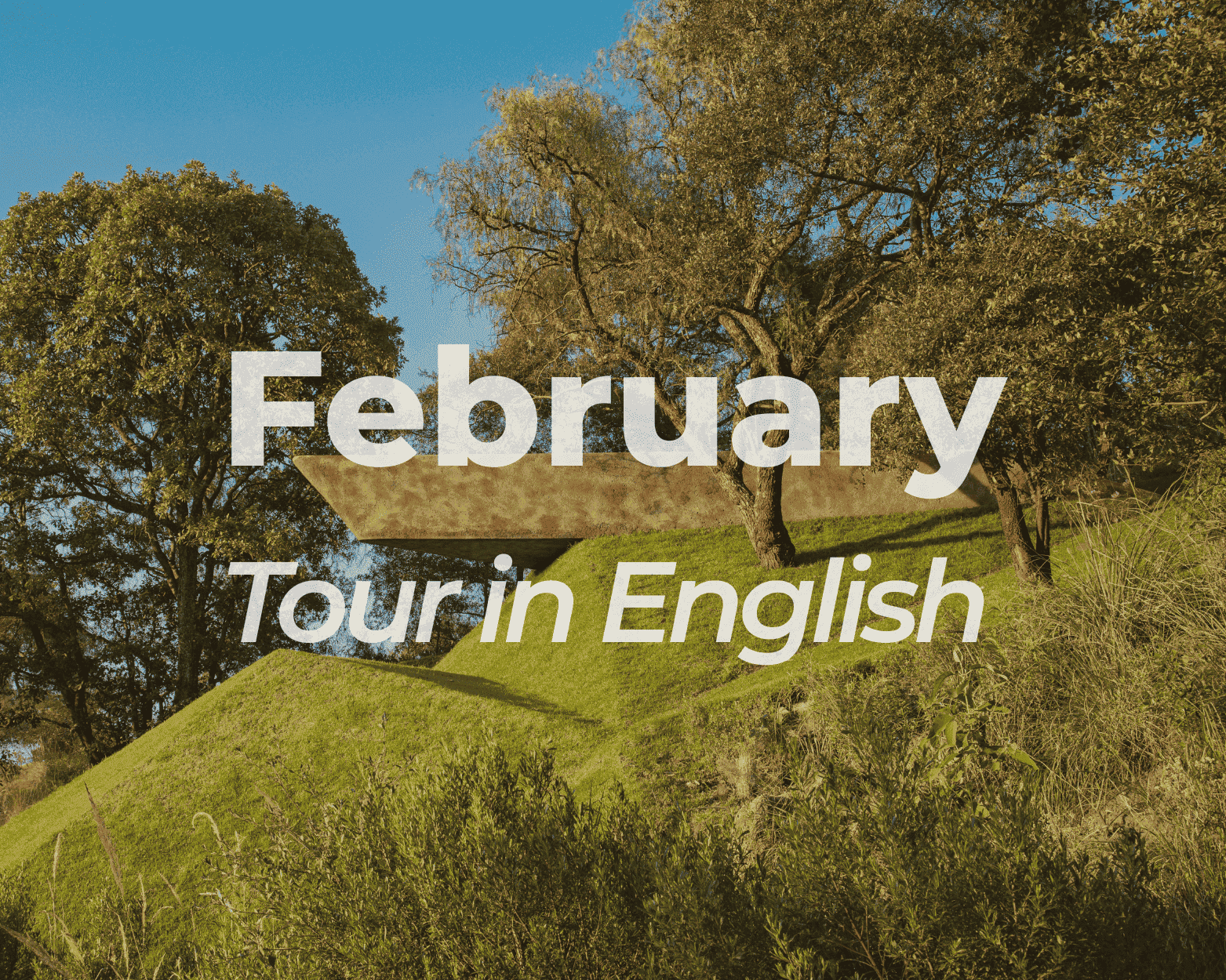 Visitas Guiadas Inglés (Febrero 2026)