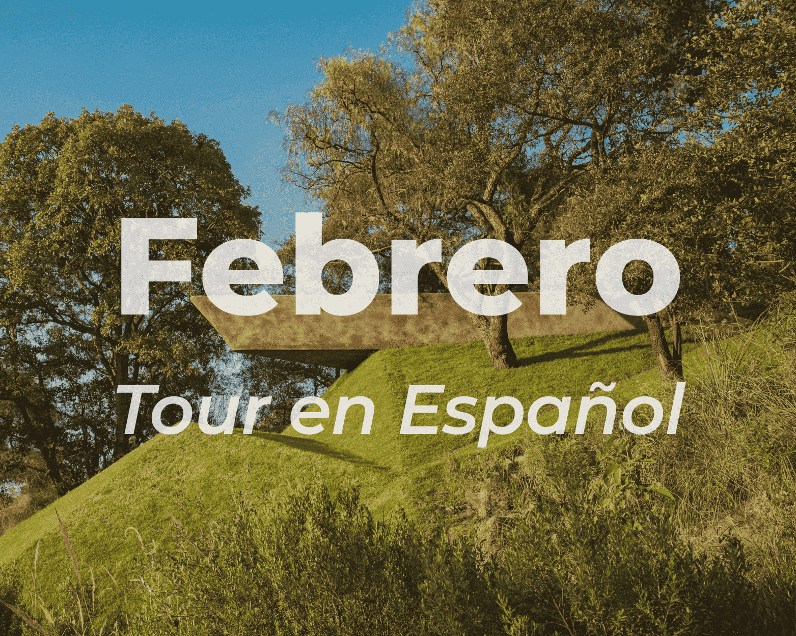 Visitas Guiadas Español (Febrero 2026)